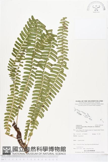 登錄號:BP01385藏品圖，第1張