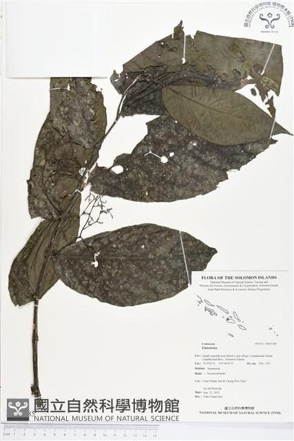 登錄號:BS01385藏品圖，第1張