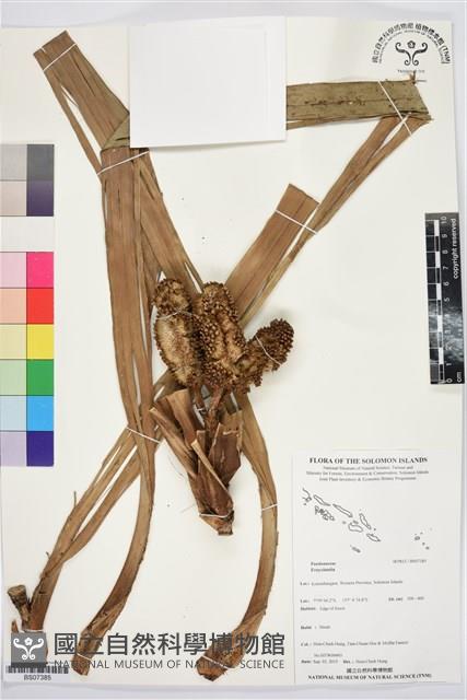 登錄號:BS07385藏品圖，第1張