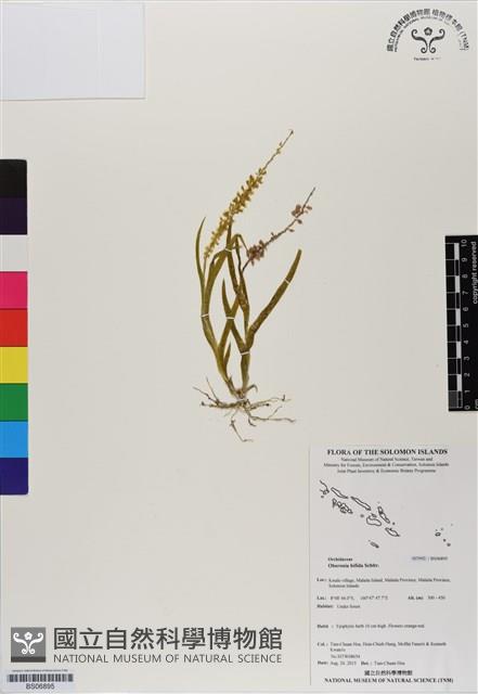 登錄號:BS06895藏品圖，第1張