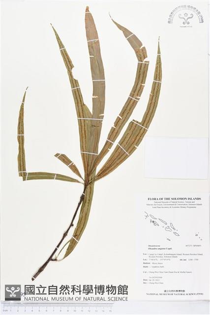 登錄號:BP00895藏品圖，第1張