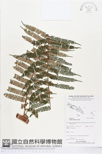登錄號:BP01895藏品圖，第1張