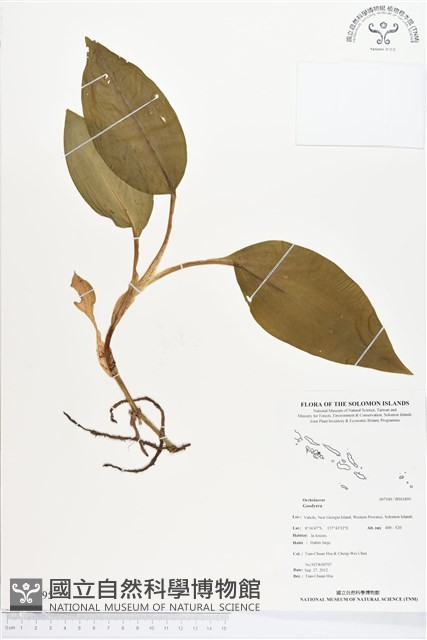登錄號:BS01895藏品圖，第1張