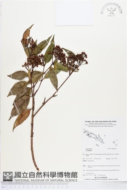 登錄號:BS03895藏品圖，第1張