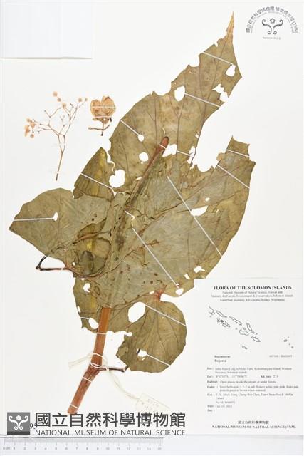 登錄號:BS02095藏品圖，第1張