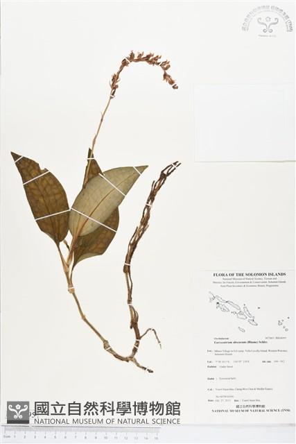 登錄號:BS04095藏品圖，第1張