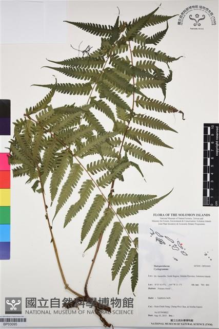 登錄號:BP03095藏品圖，第1張