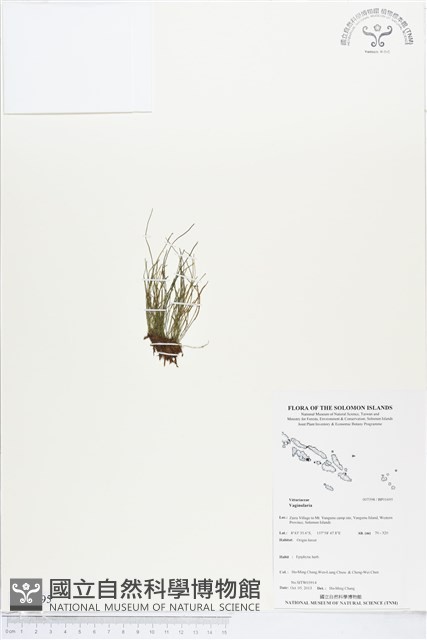 登錄號:BP01695藏品圖，第1張