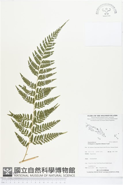 登錄號:BP02195藏品圖，第1張