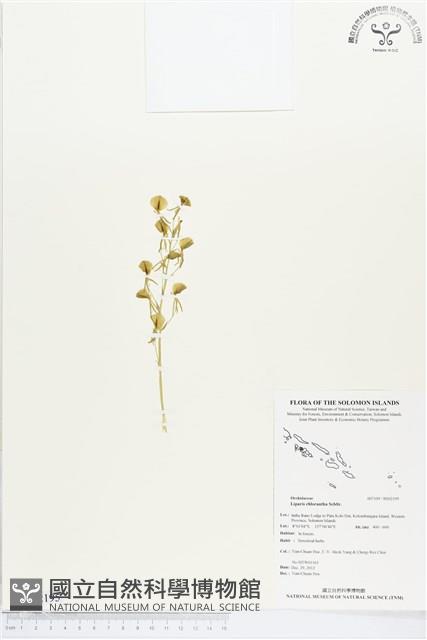 登錄號:BS02195藏品圖，第1張