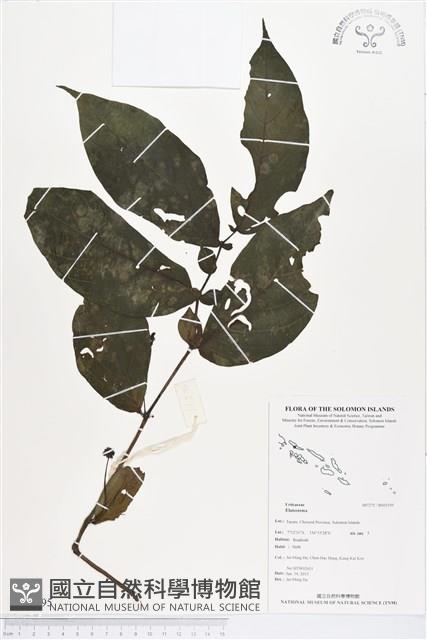 登錄號:BS03195藏品圖，第1張