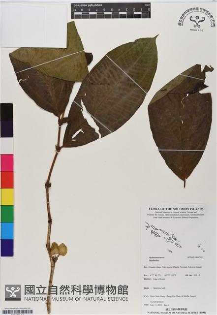 登錄號:BS07195藏品圖，第1張