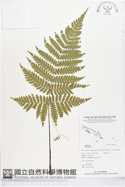 登錄號:BP00495藏品圖，第1張