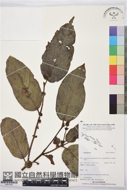 登錄號:BS07495藏品圖，第1張