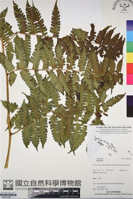 登錄號:BP03295藏品圖，第1張