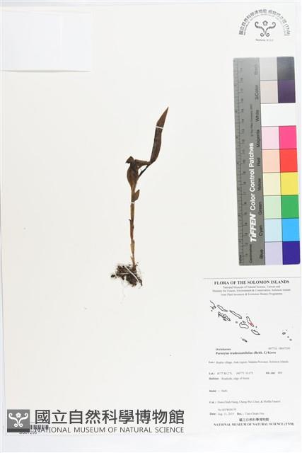 登錄號:BS07295藏品圖，第1張