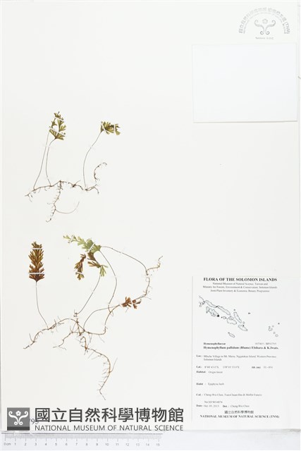 登錄號:BP01795藏品圖，第1張