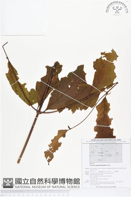 登錄號:BS01595藏品圖，第1張