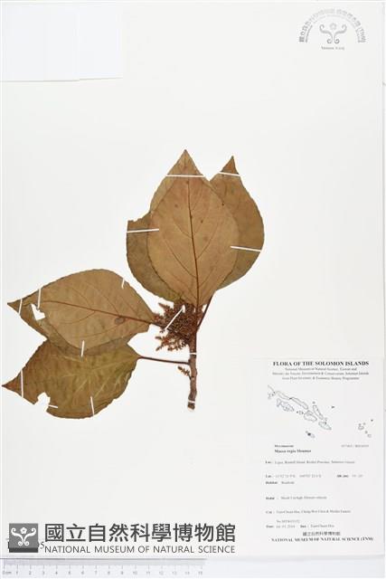 登錄號:BS04595藏品圖，第1張