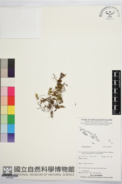 登錄號:BP03595藏品圖，第1張