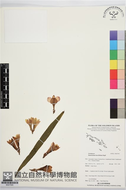 登錄號:BS07595藏品圖，第1張