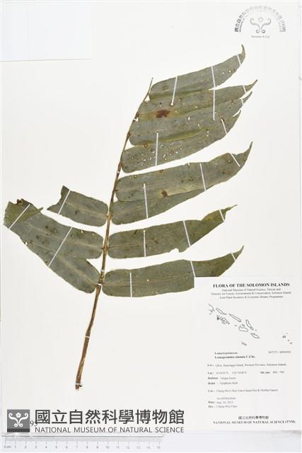 登錄號:BP00995藏品圖，第1張