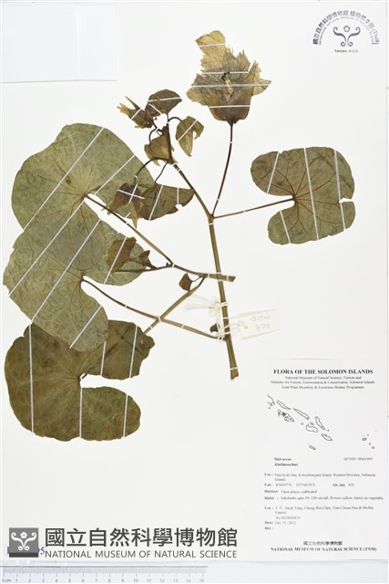 登錄號:BS01995藏品圖，第1張