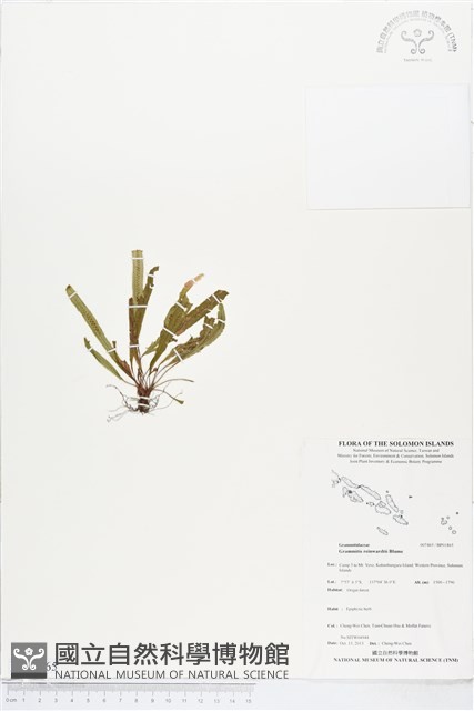登錄號:BP01865藏品圖，第1張
