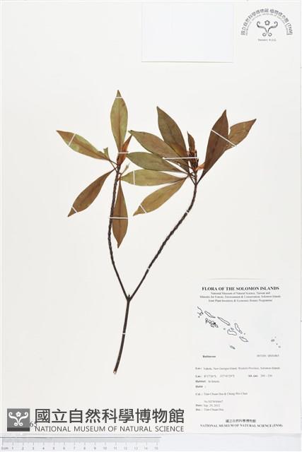 登錄號:BS01865藏品圖，第1張