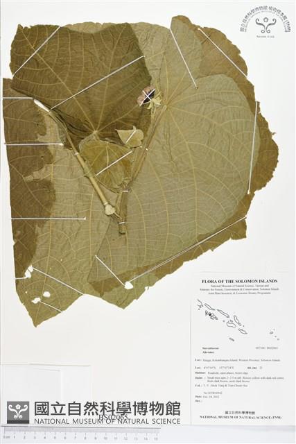 登錄號:BS02065藏品圖，第1張
