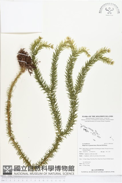 登錄號:BP01065藏品圖，第1張