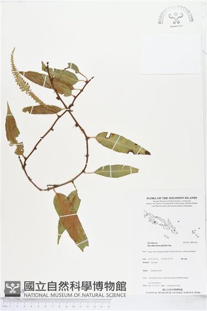 登錄號:BP01665藏品圖，第1張