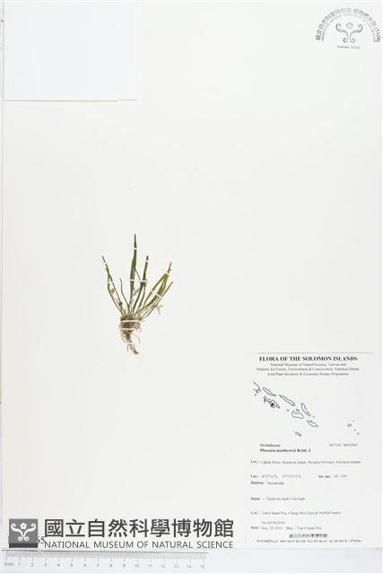 登錄號:BS03665藏品圖，第1張