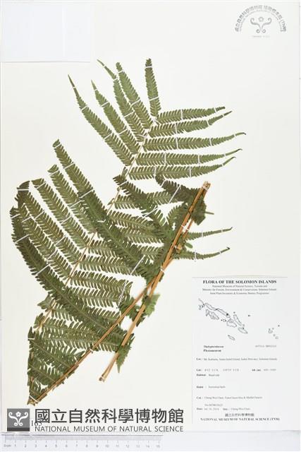登錄號:BP02165藏品圖，第1張