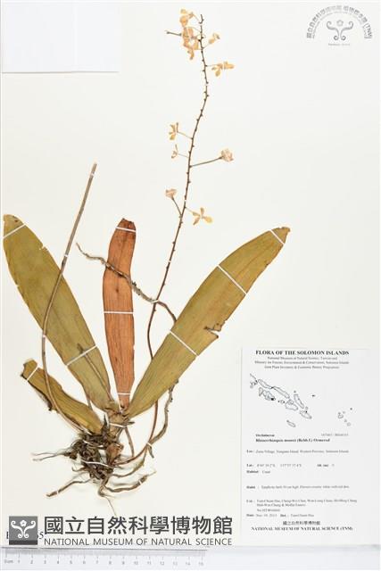 登錄號:BS04165藏品圖，第1張