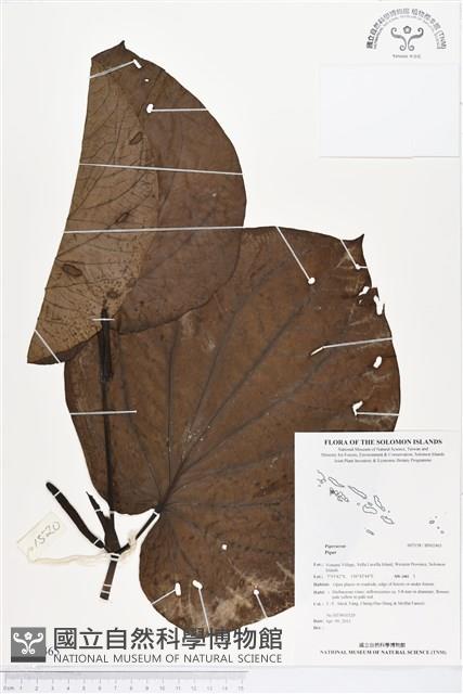 登錄號:BS02465藏品圖，第1張