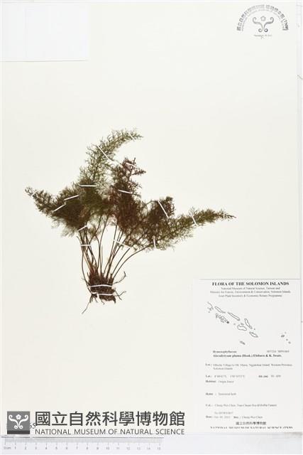 登錄號:BP01465藏品圖，第1張