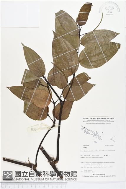 登錄號:BS04465藏品圖，第1張