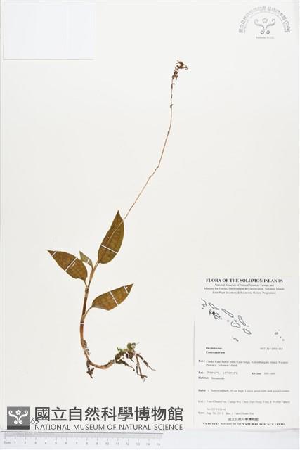 登錄號:BS03465藏品圖，第1張