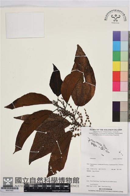 登錄號:BS07465藏品圖，第1張