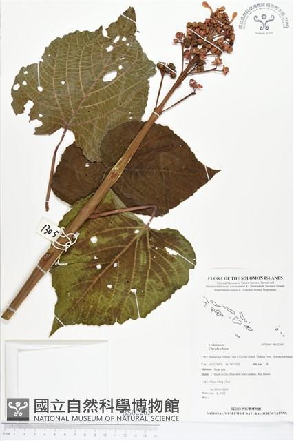 登錄號:BS02265藏品圖，第1張