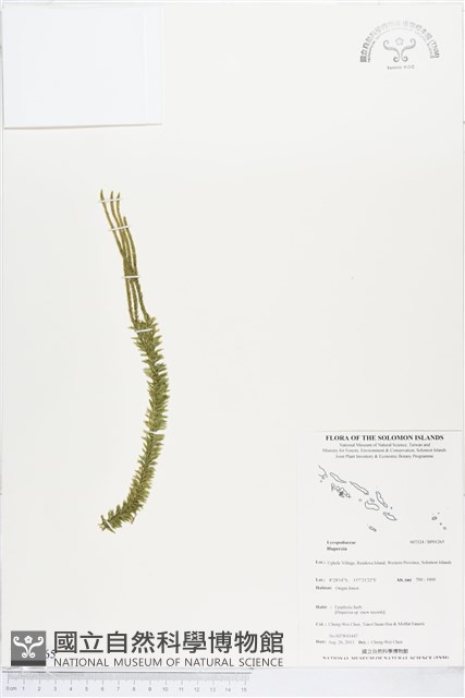 登錄號:BP01265藏品圖，第1張