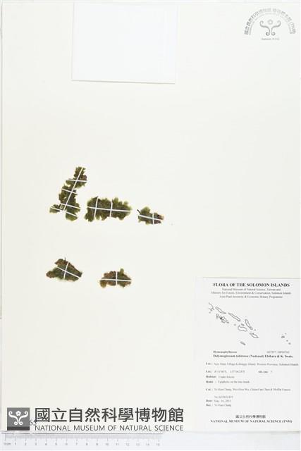 登錄號:BP00765藏品圖，第1張