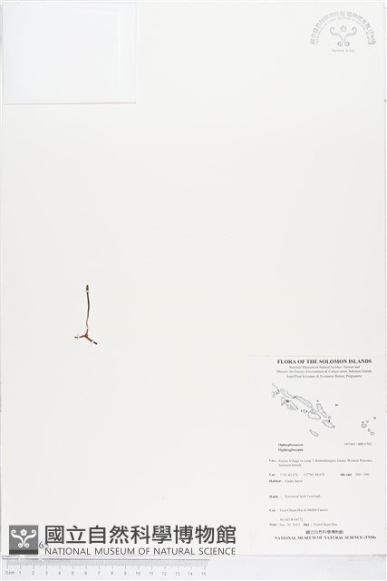 登錄號:BP01765藏品圖，第1張
