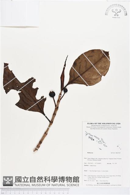 登錄號:BS03765藏品圖，第1張