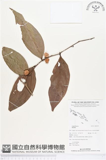 登錄號:BS01565藏品圖，第1張