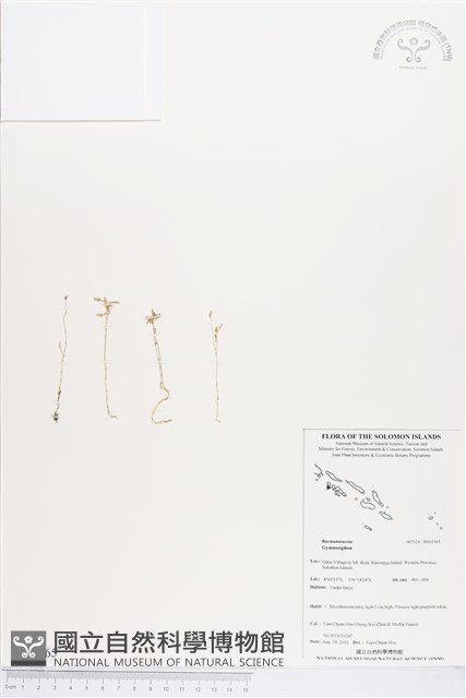 登錄號:BS03565藏品圖，第1張