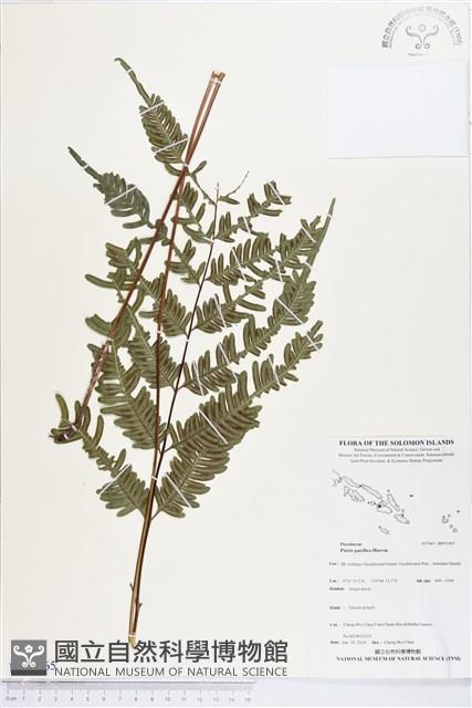 登錄號:BP01965藏品圖，第1張