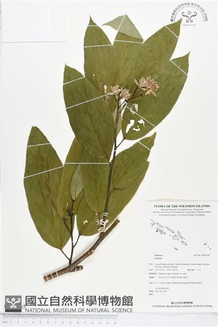 登錄號:BS02365藏品圖，第1張