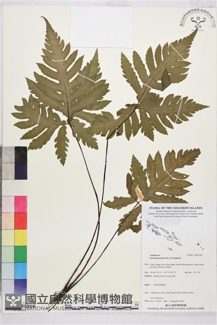 登錄號:BP03365藏品圖，第1張